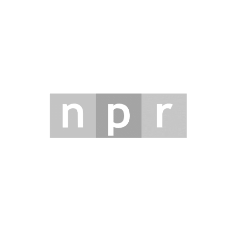 NPR-1_grey